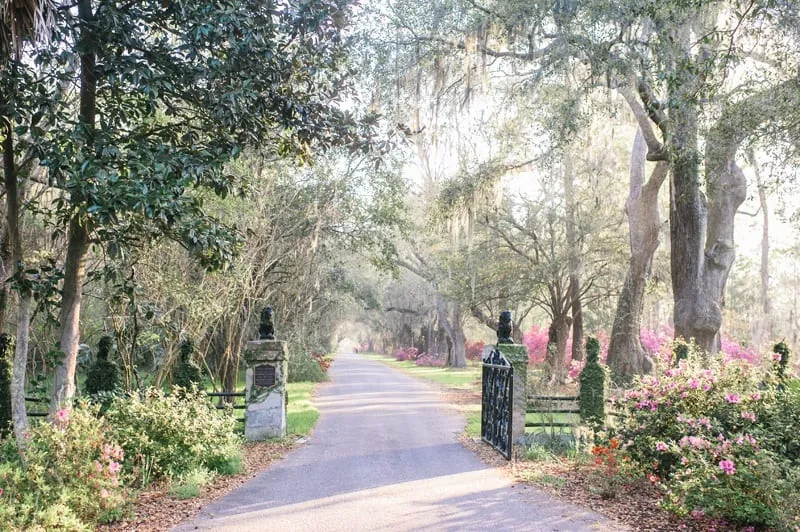 magnolia plantation wedding photography in Charleston South Carolina