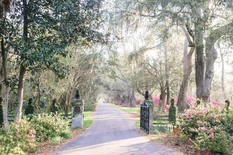 Magnolia Plantation white bridge and garden wedding backdrop Charleston