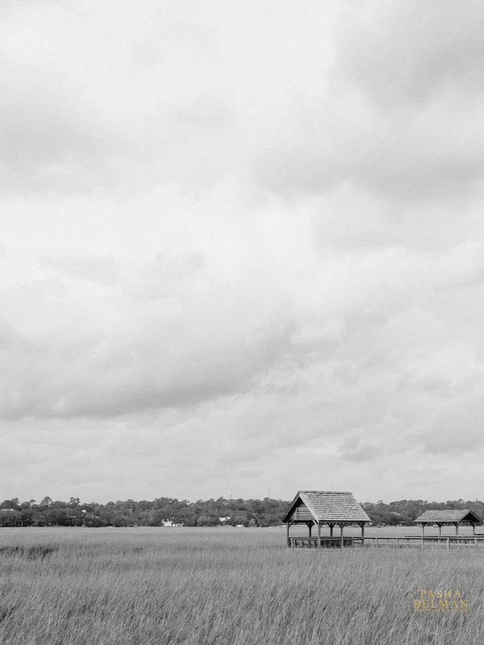 Caledonia Golf & Fish Club wedding by top Charleston Wedding Photographer Pasha Belman