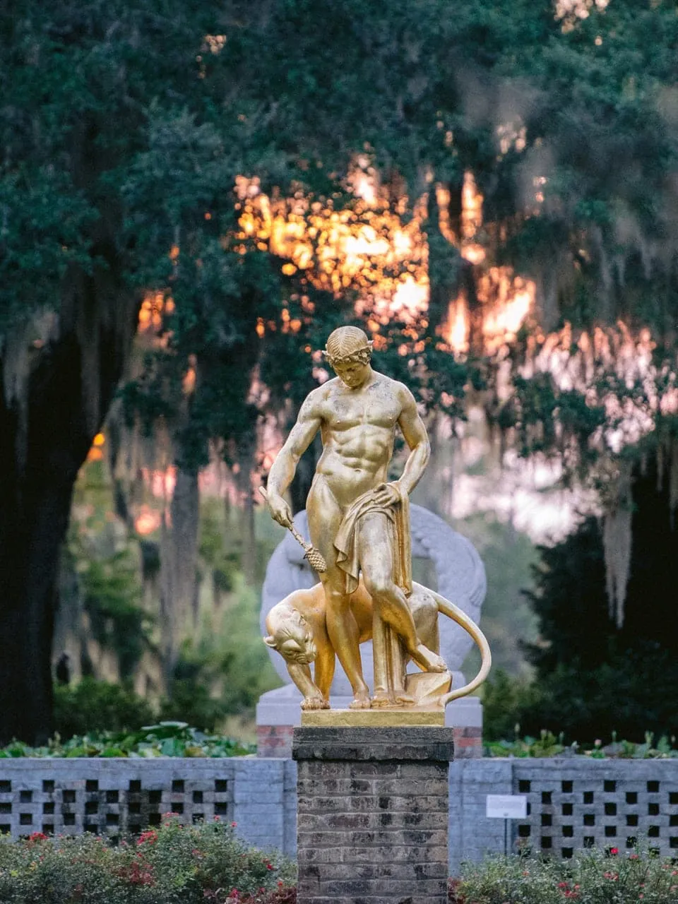 brookgreen gardens wedding photography - top wedding photographers in pawleys island and charleston sc