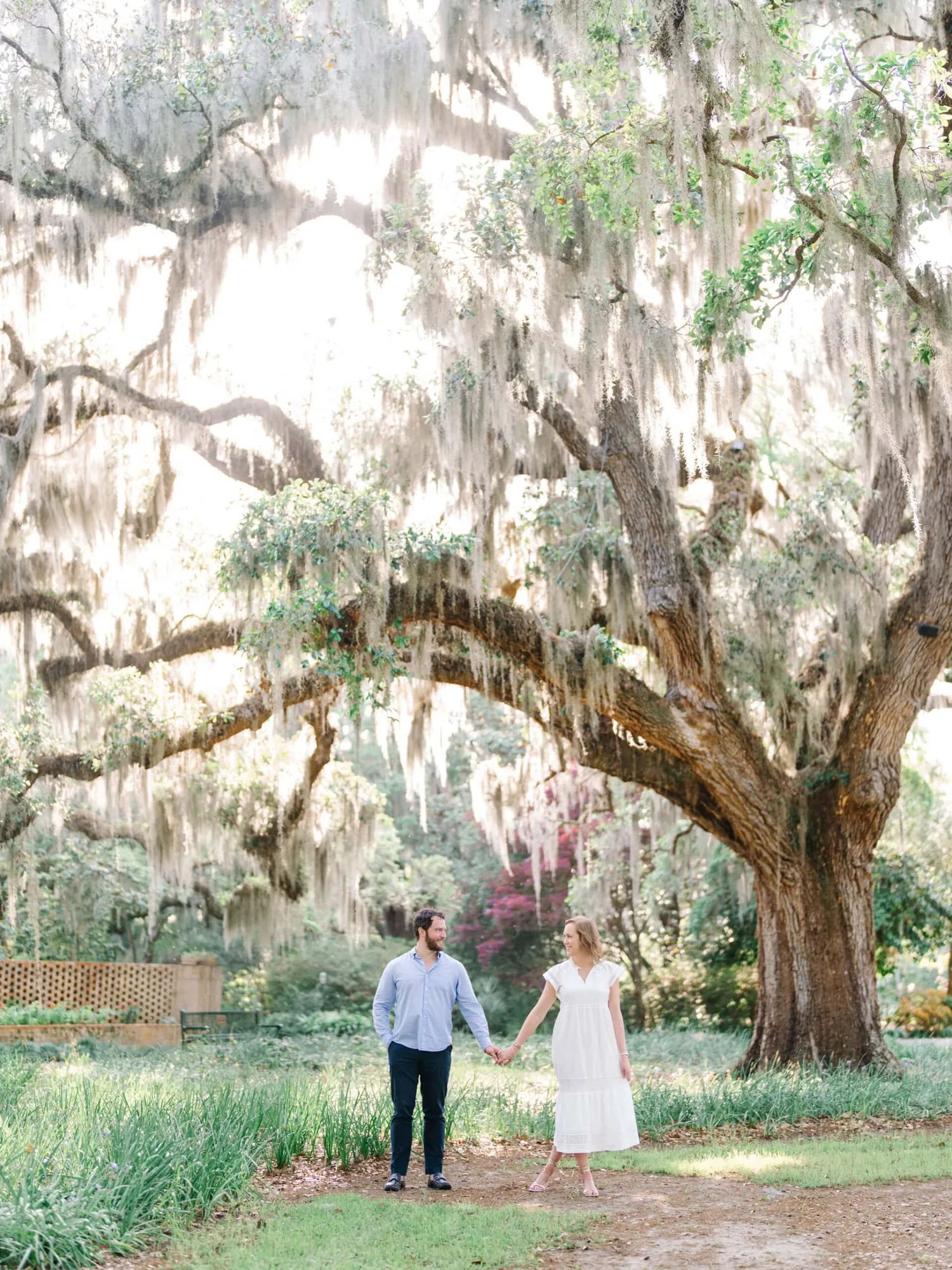 Brookgreen Gardens Engagement Session and Proposal Photography