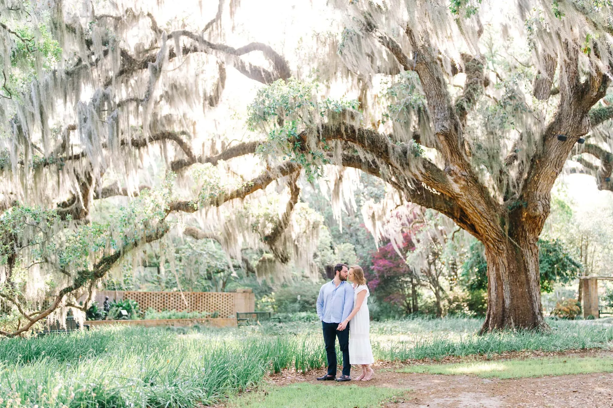 Brookgreen Gardens Engagement Session and Proposal Photography