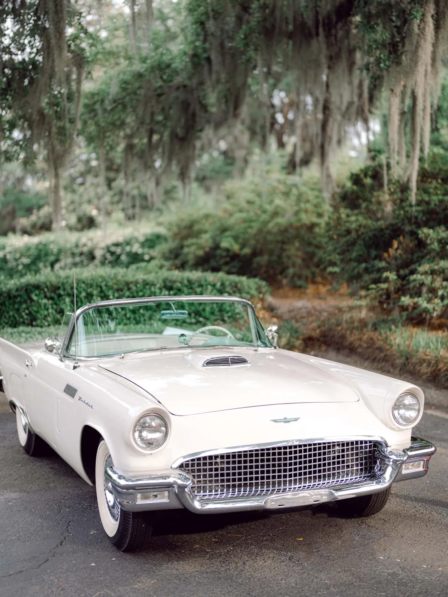 Caledonia Golf and Fish Club Wedding