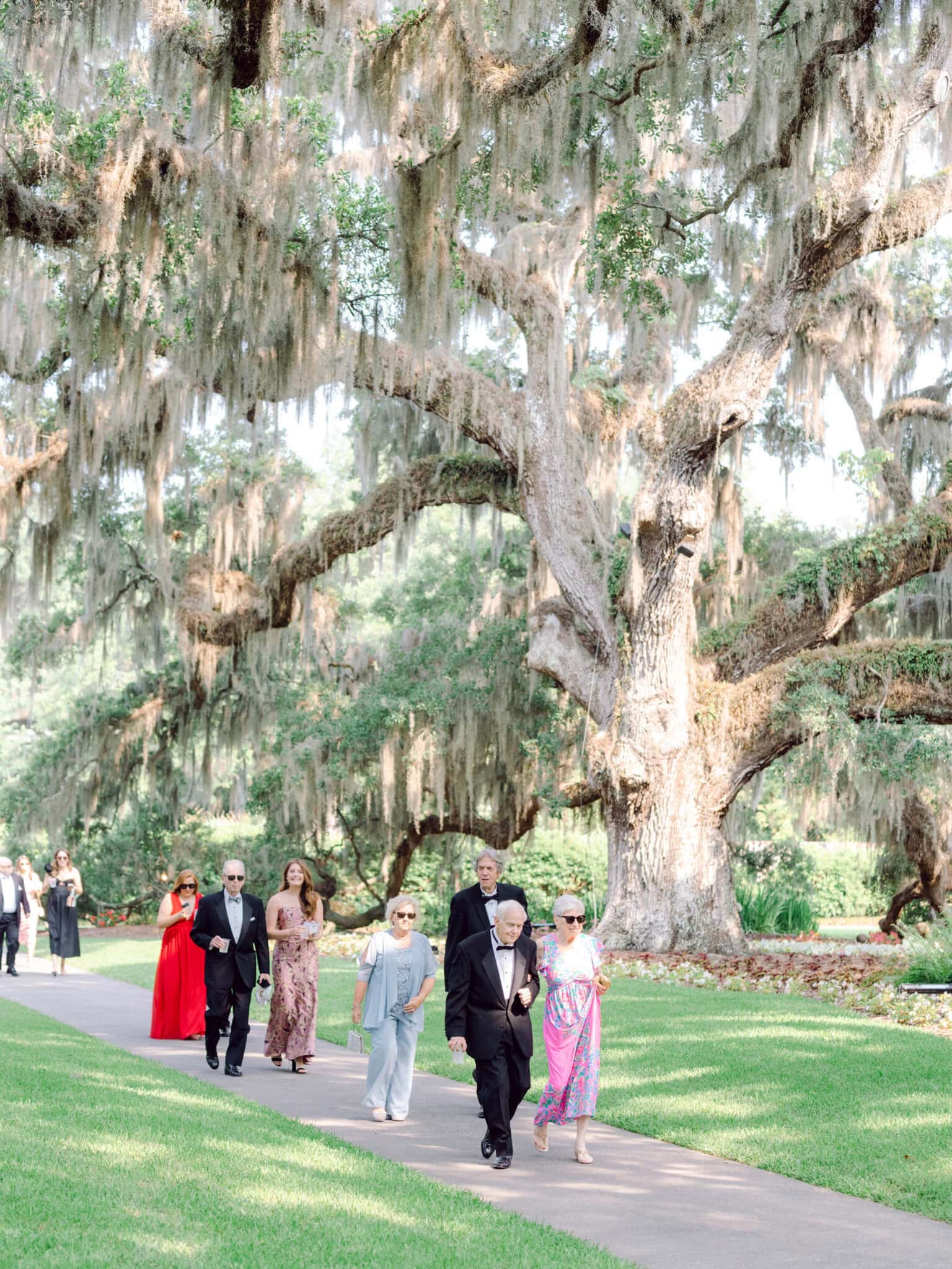 Brookgreen Garden Wedding Portraits - Luxury Wedding Photos in South Carolina