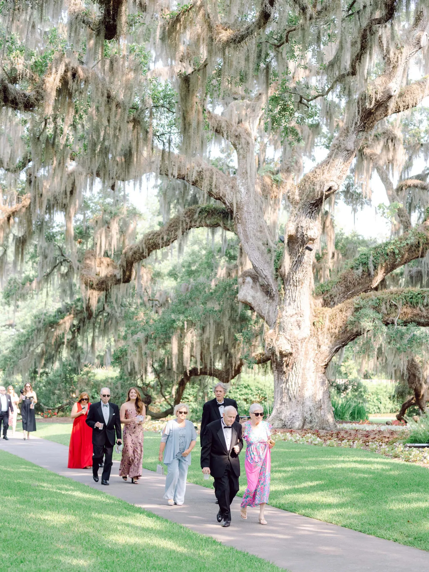 Brookgreen Garden Wedding Portraits - Luxury Wedding Photos in South Carolina