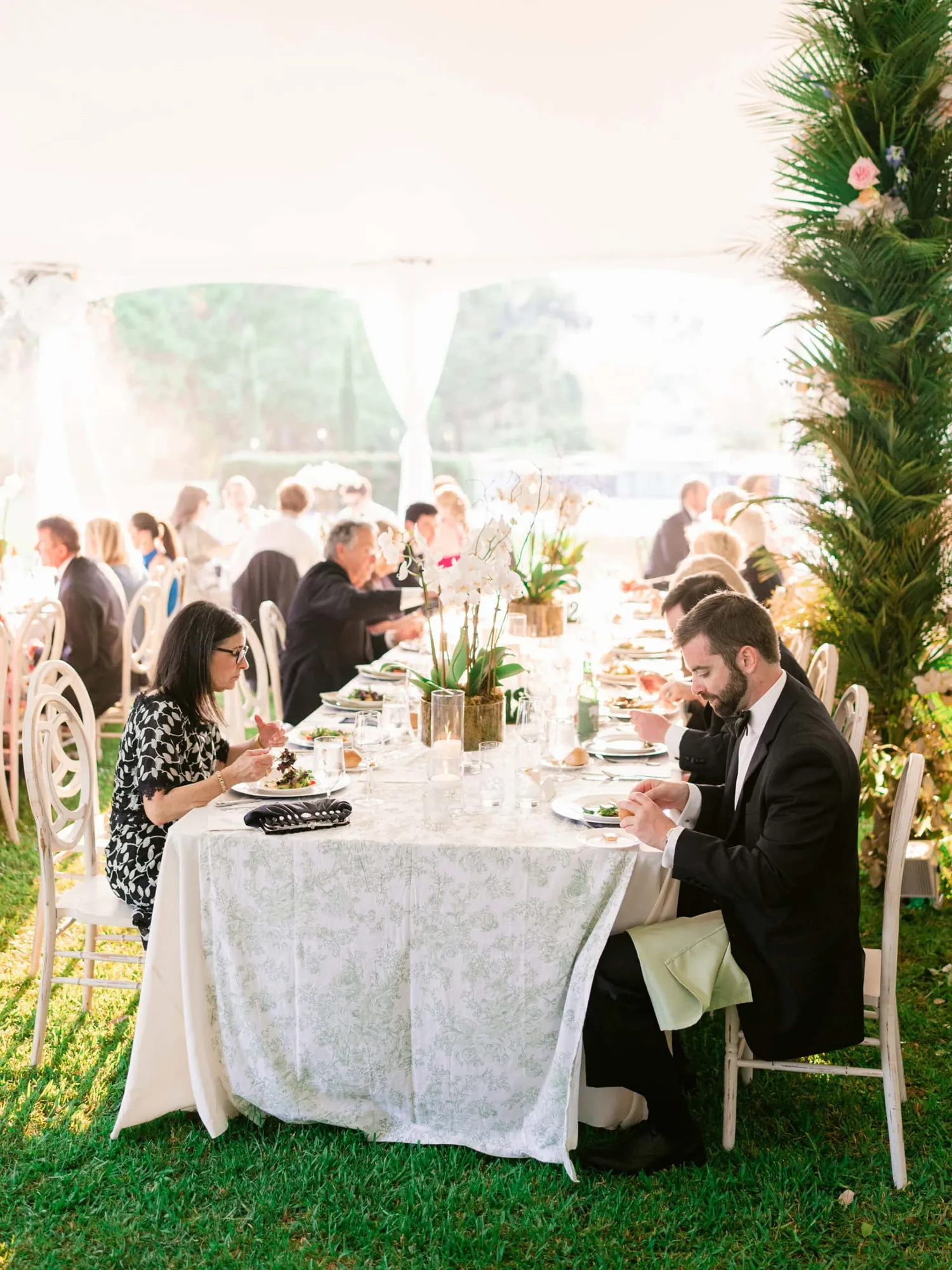Brookgreen Gardens Wedding Portraits by Luxury Wedding Photographers