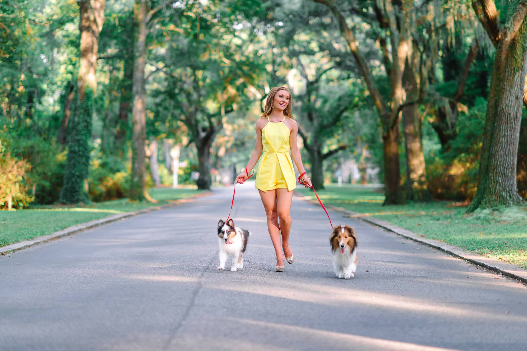 Bright young woman in yellow romper walking dogs on a tree-lined street in a park during daytime.