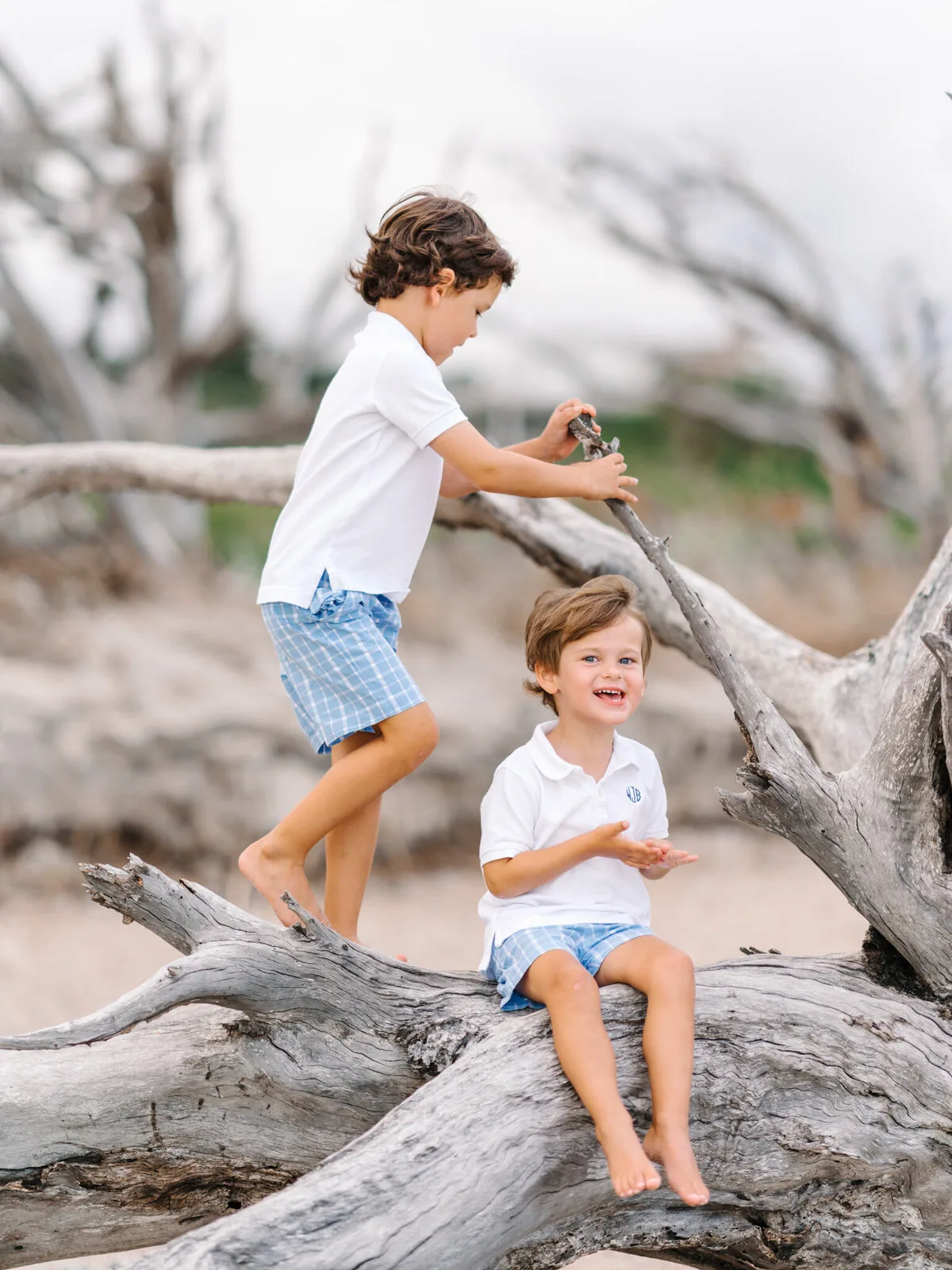 Boys playing on the driftwood at DeBordieu Beach in Georgetown SC