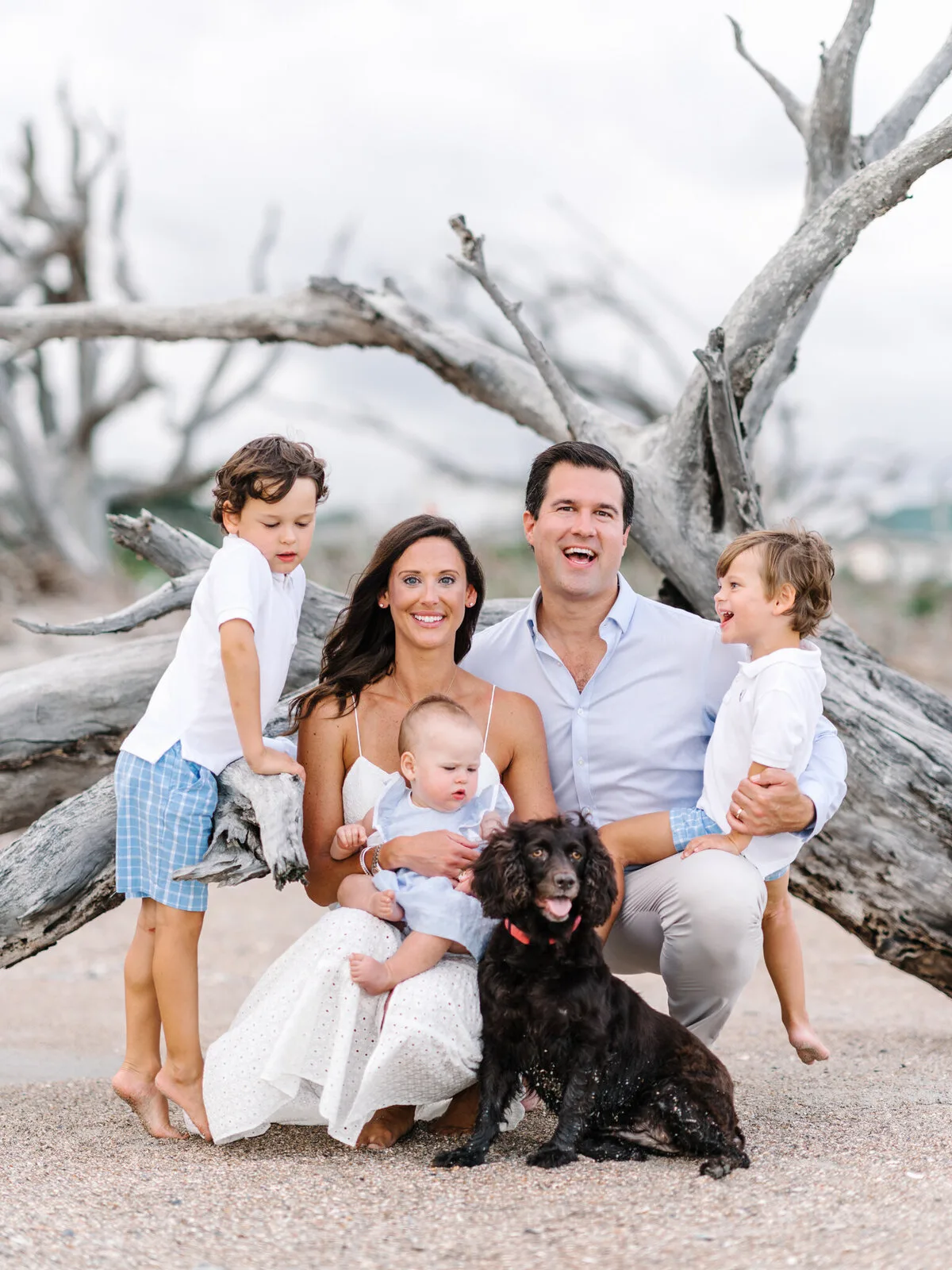 Family with a dog at the driftwood on DeBordieu Beach in Georgetown SC
