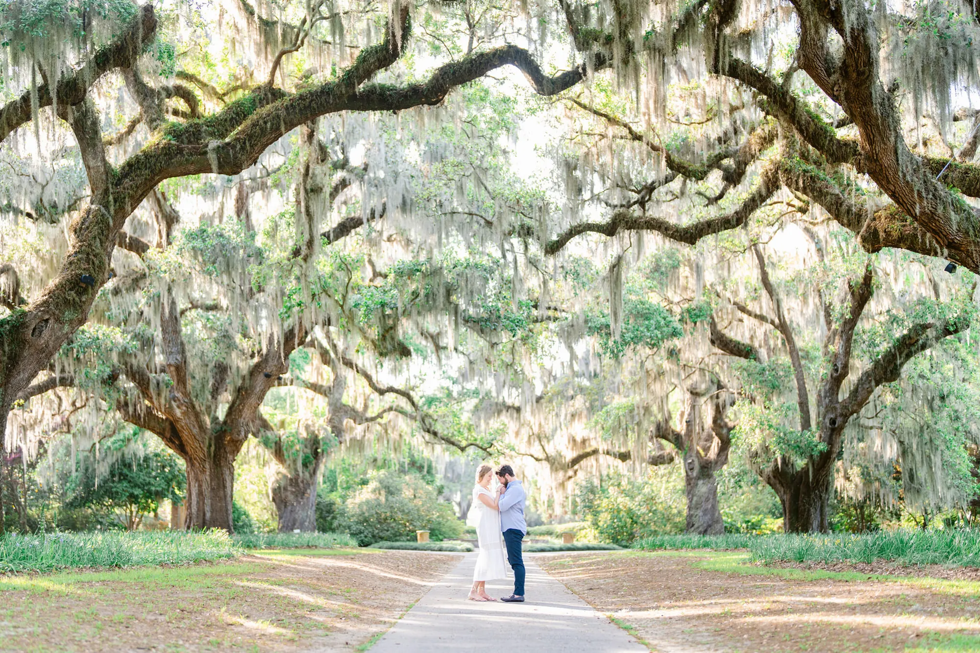 Engaged couple embracing in the center of the live oak allee at Brookgreen Gardens in Pawleys Island