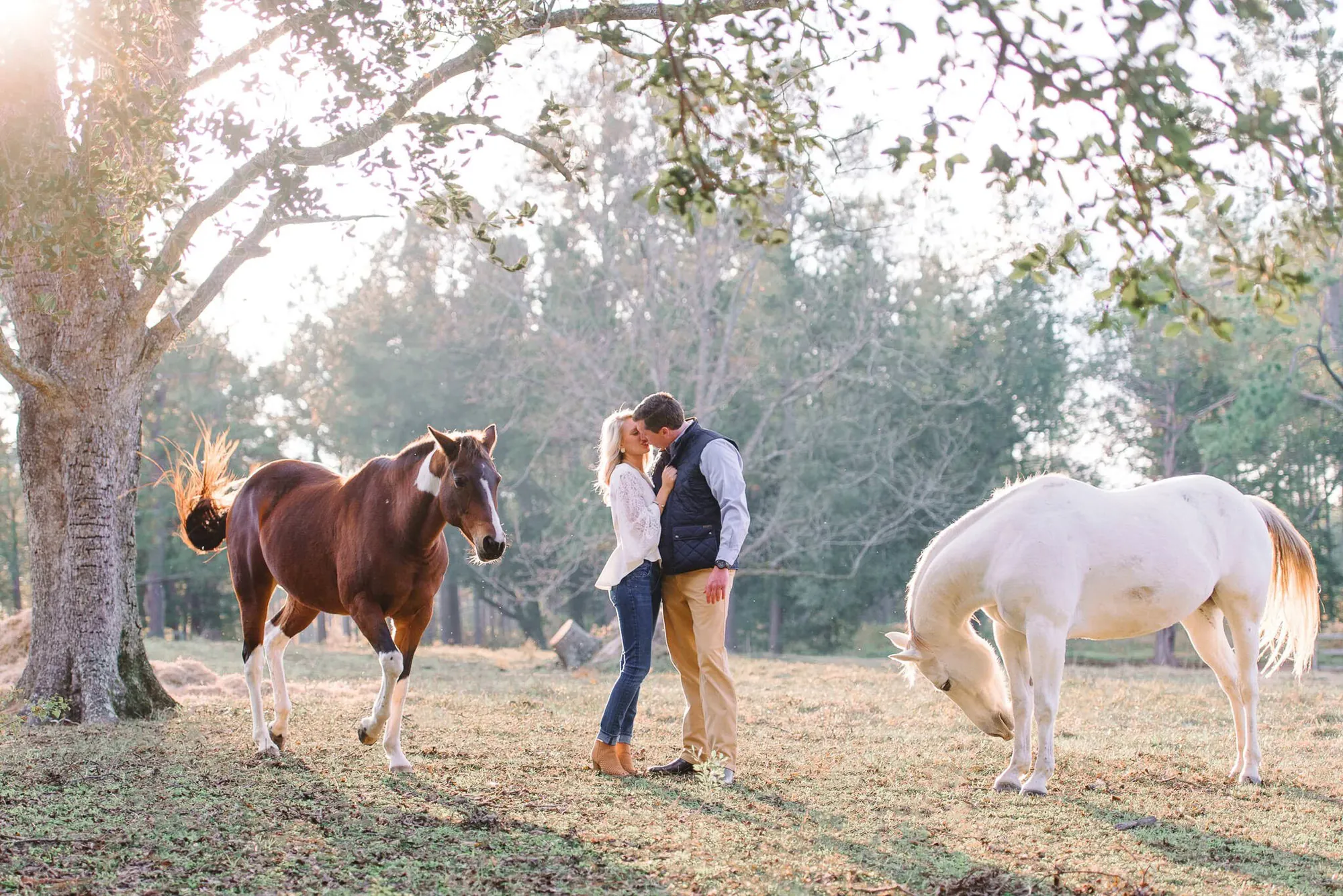 Engaged couple kissing in a field between a brown horse and a white horse under oak trees at a South Carolina farm